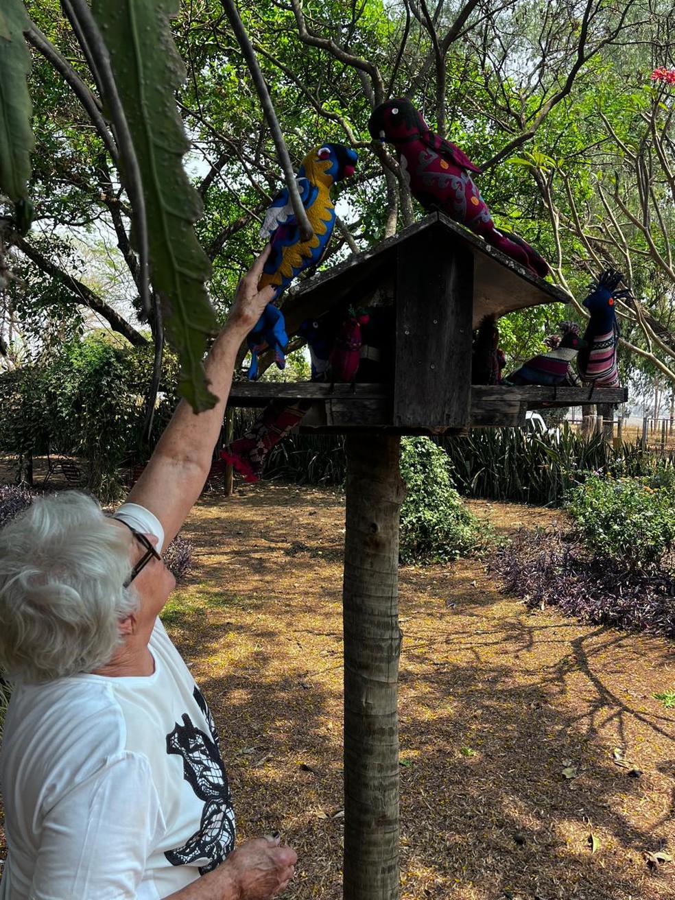 Rosa Maria, ou simplesmente Dona Rosa transforma restos de tapetes em pássaros em Lagoa da Prata — Foto: Gisele Borges/Divulgação