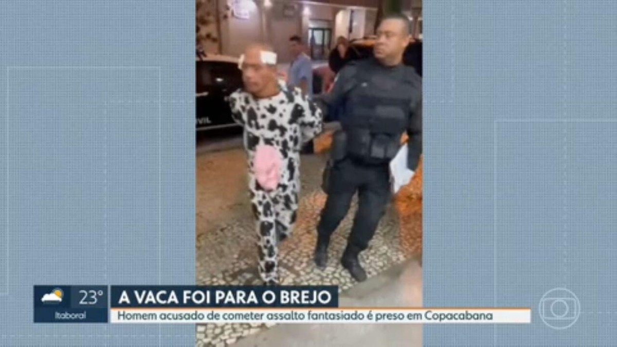 Homem fantasiado de vaca é preso após agredir mulher com chapeu de panda