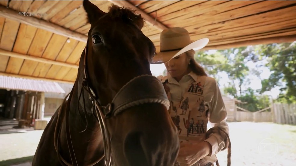 Empreendedora transforma paixão por cavalos em negócio itinerante que fatura R$ 60 mil por mês — Foto: Reprodução/PEGN