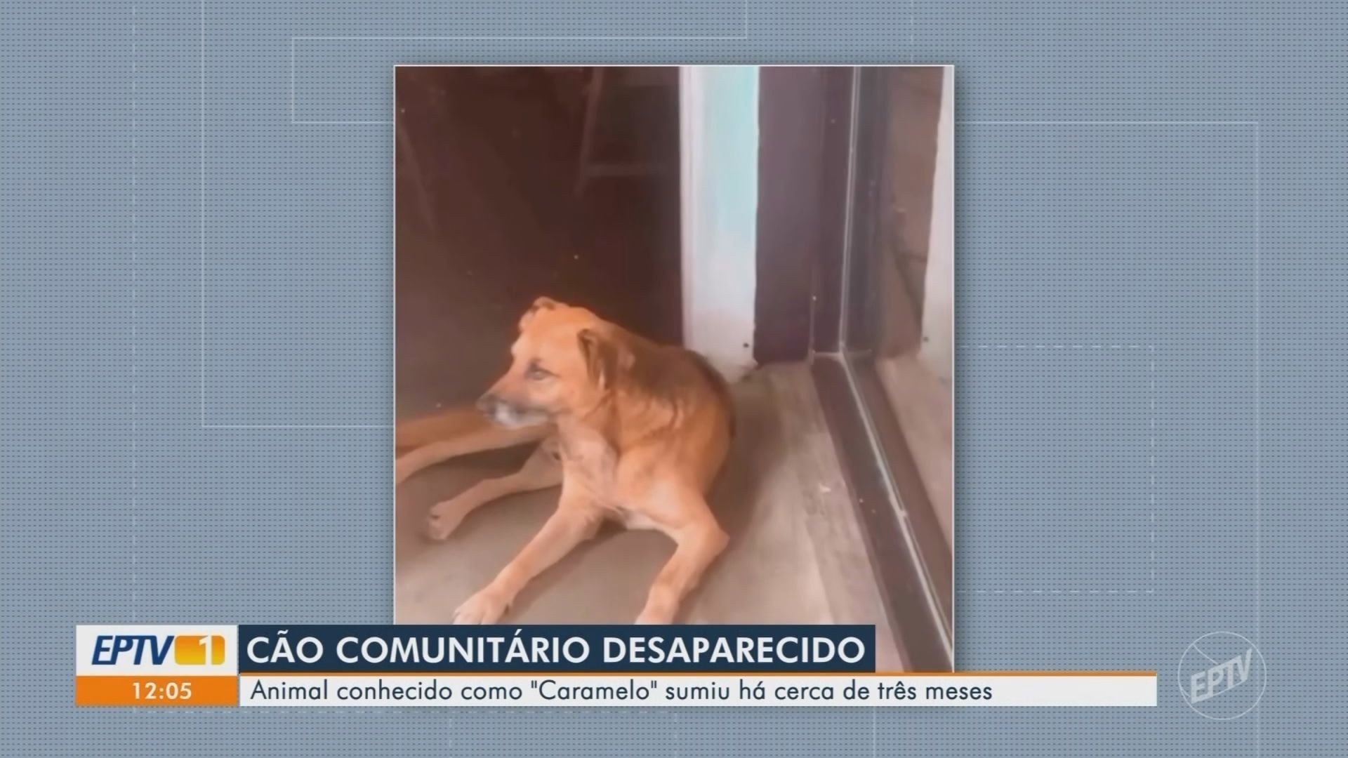 VÍDEOS: EPTV 1 Sul de Minas de quinta-feira, 9 de abril de 2026