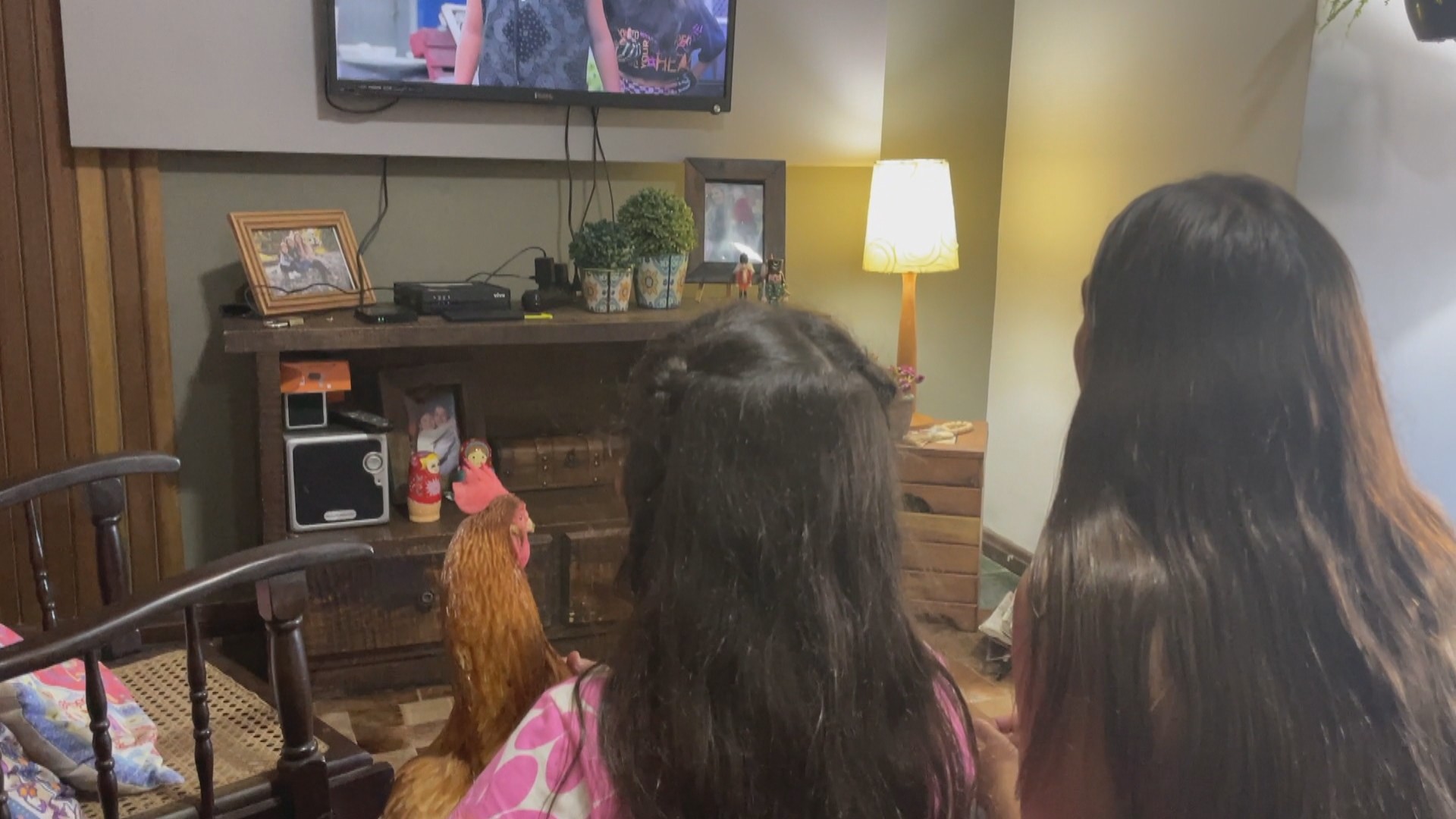 Menina de 10 anos e galinha de estimação têm amizade curiosa em Bagé: 'Ela é muito fofinha!'; VÍDEO