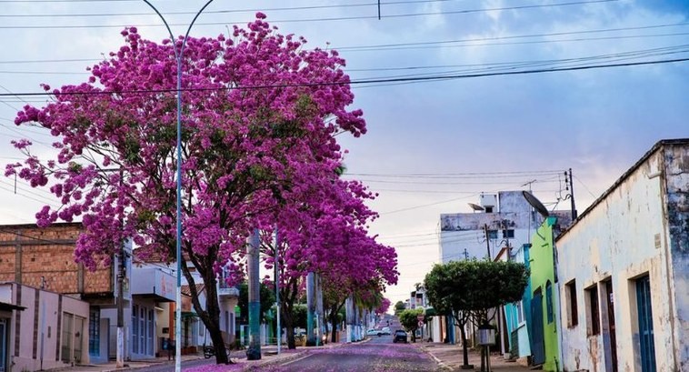Atendimento à noite: TRE-MT amplia serviços para coleta biométrica de eleitores em Guiratinga (MT)