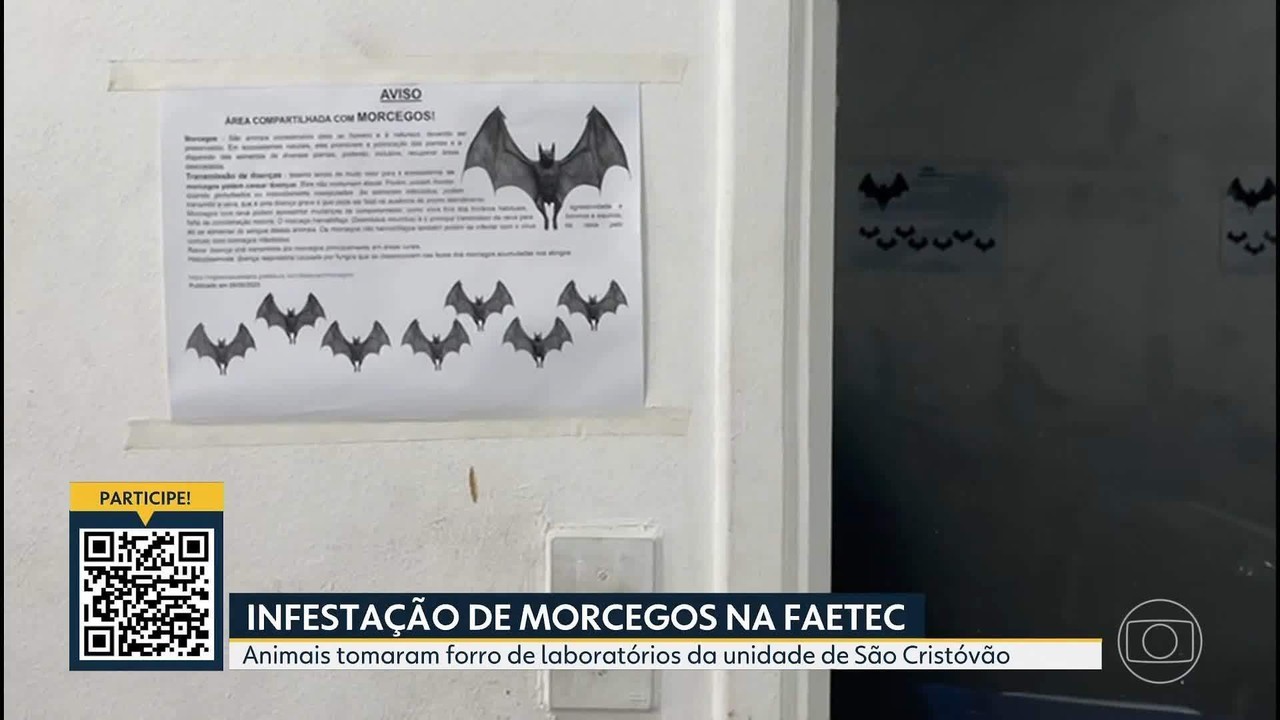 Alunos da Faetec de São Cristóvão reclamam de infestação de morcegos nas salas da unidade