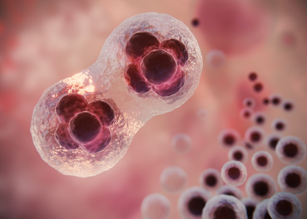 células do câncer — Foto: Freepik