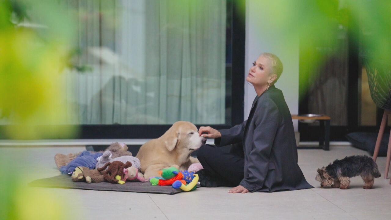 Do abandono até a alegria de um novo lar: Xuxa acompanha processo por trás da adoção de animais de estimação; VÍDEO