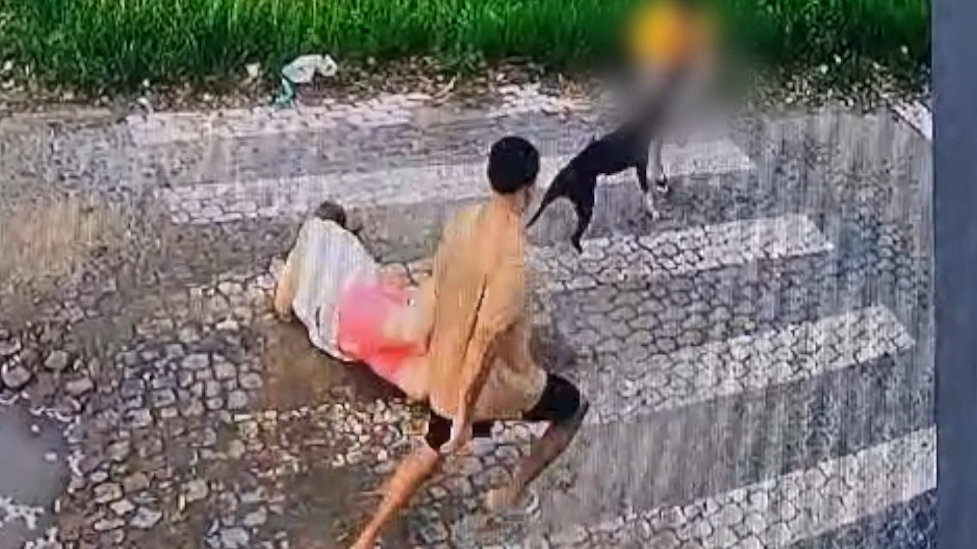 VÍDEO: Mãe cai ao tentar proteger filho de 10 anos durante ataque de cachorro no ES; 'pulou no pescoço dele'
