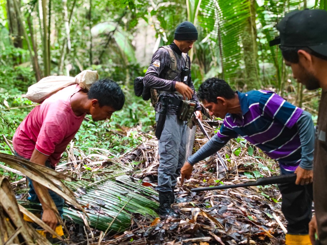 Jovem desaparece em área de mata em Maués após sair para colher frutas