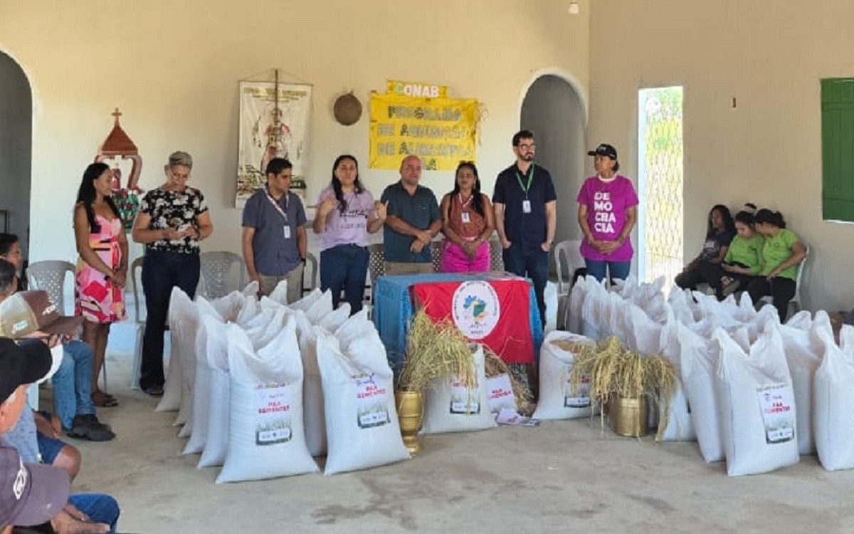 SAF vai distribuir 10 toneladas de sementes de arroz para agricultores familiares