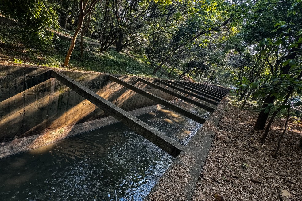 Córrego Tiquatira, que banha o parque de mesmo nome na zona leste de São Paulo. — Foto: Fábio Tito/g1