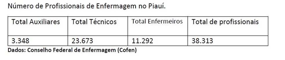 No Piauí existem cerca de 38 mil profissionais.  — Foto: Conselho Federal de Enfermagem (Cofen)