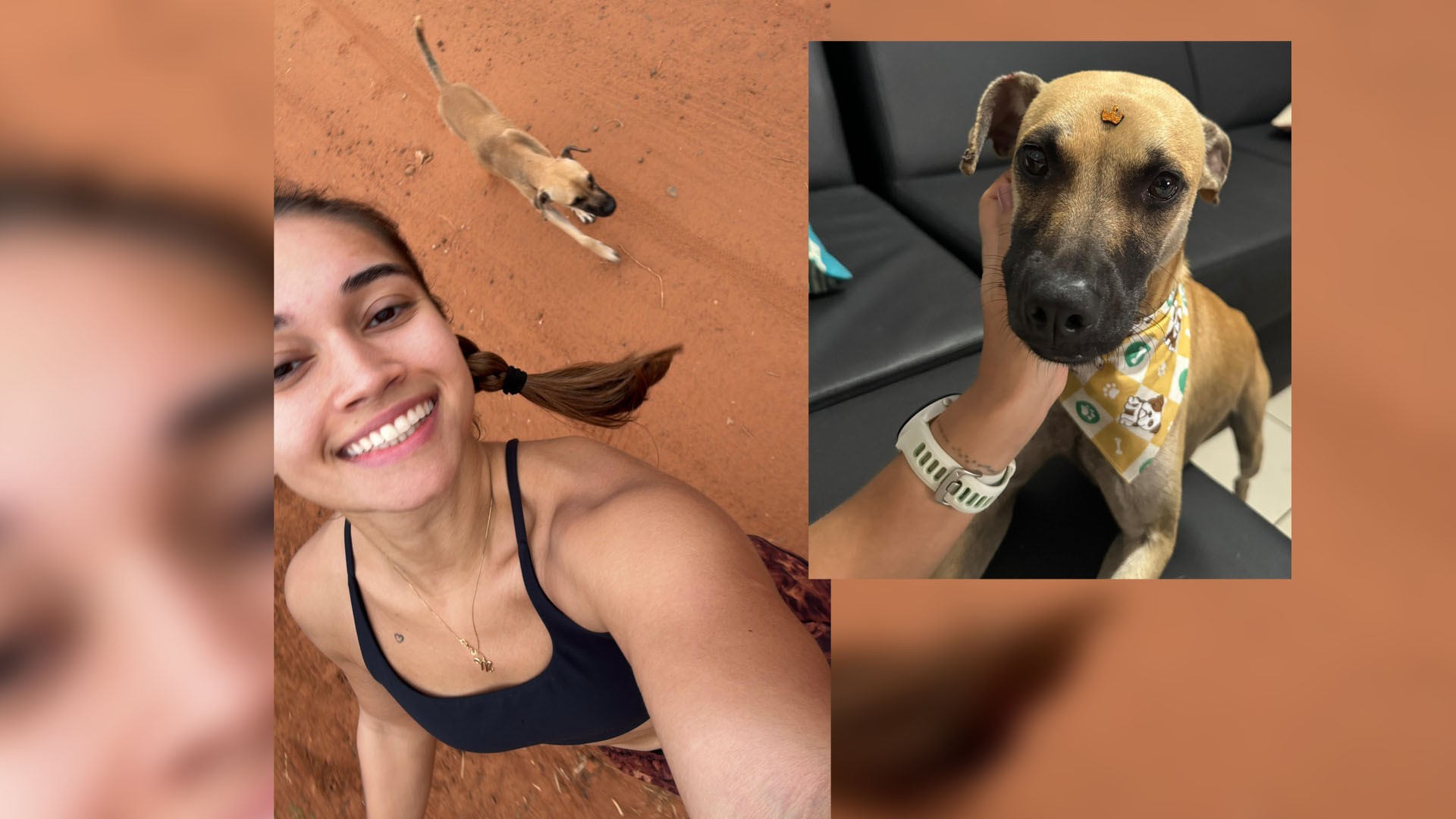 Cão de rua segue casal de corredores por 15 km em Araçatuba, ganha nome de atleta e viraliza: 'É de outro mundo'