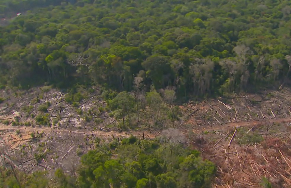 CCJ da Câmara dá aval a projeto que diminui proteção à vegetação nativa não florestal nos biomas brasileiros; ambientalistas criticam