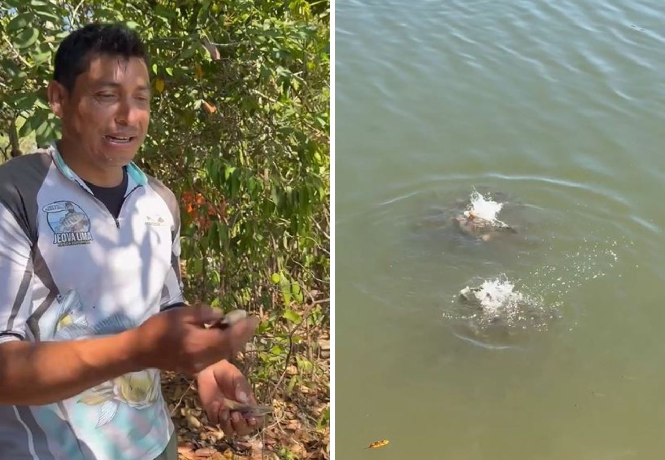 Pescador mostra lago repleto de piranhas no TO e brinca: 'Não é bom banhar aqui'