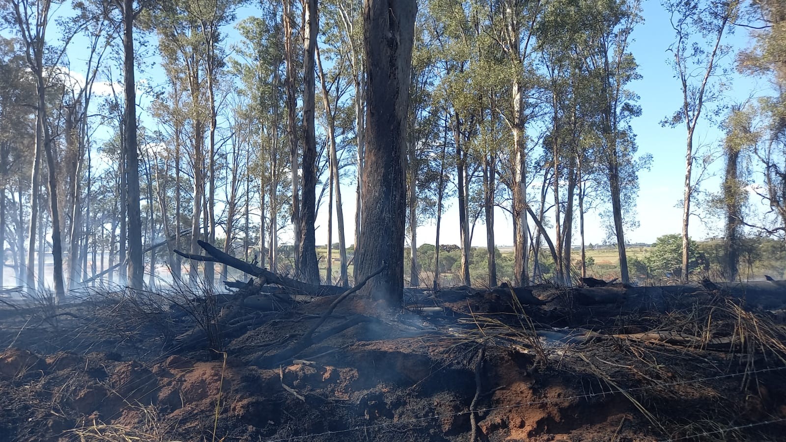 Incêndio consome área equivalente a 27 campos de futebol no interior de SP 