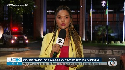 Acusado de matar cachorro de vizinha é condenado por maus-tratos
