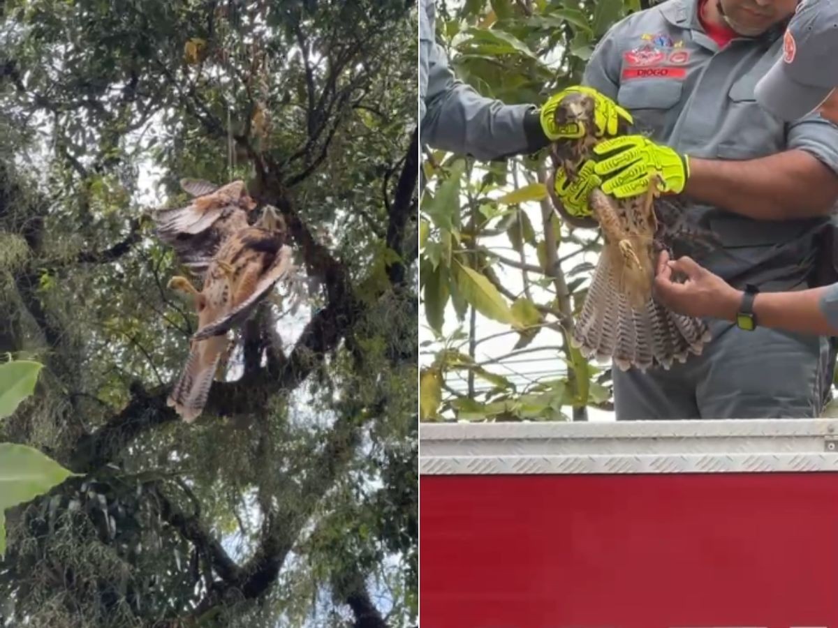 Você Não Tá Convidada pro Meu Bat Mitzvá!
