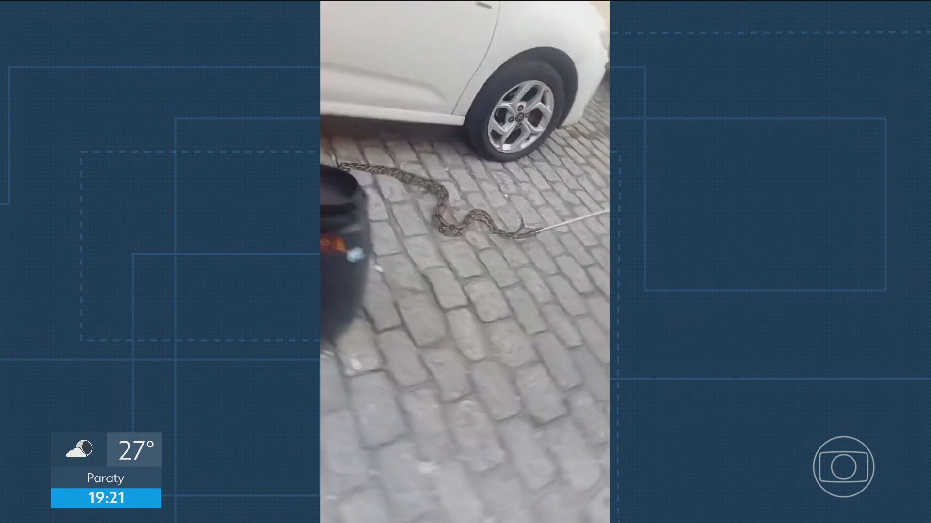 Cobra é acha embaixo de carro e assusta moradores no Humaitá, na Zona Sul do Rio