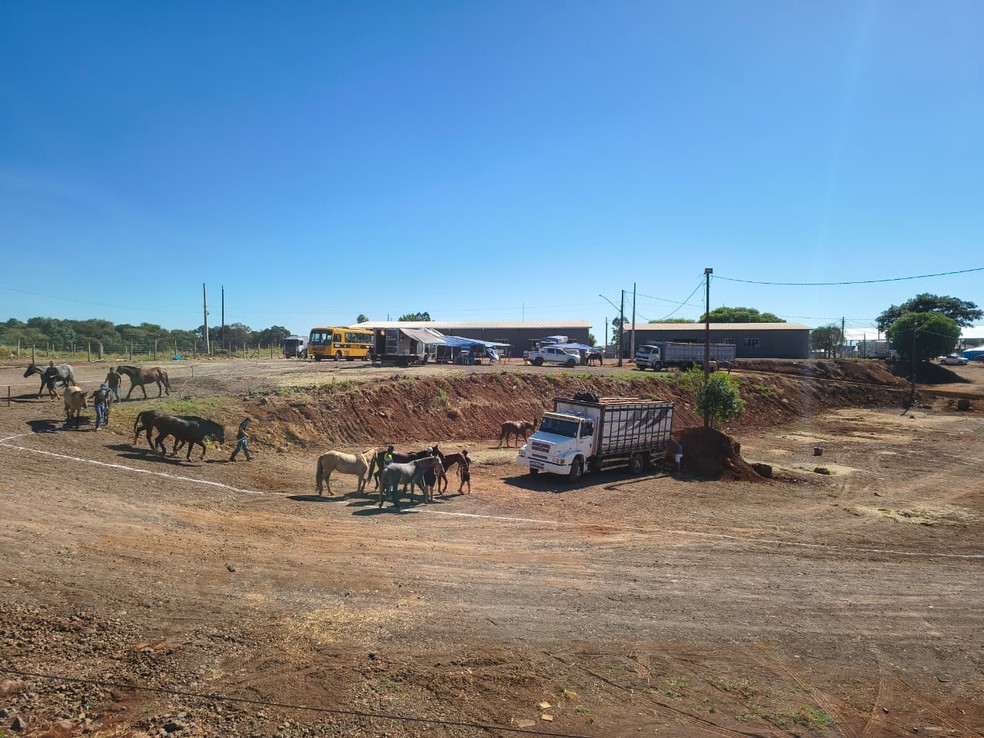 Acidente aconteceu em acampamento de CTG — Foto: Eduardo Andrade/RPC
