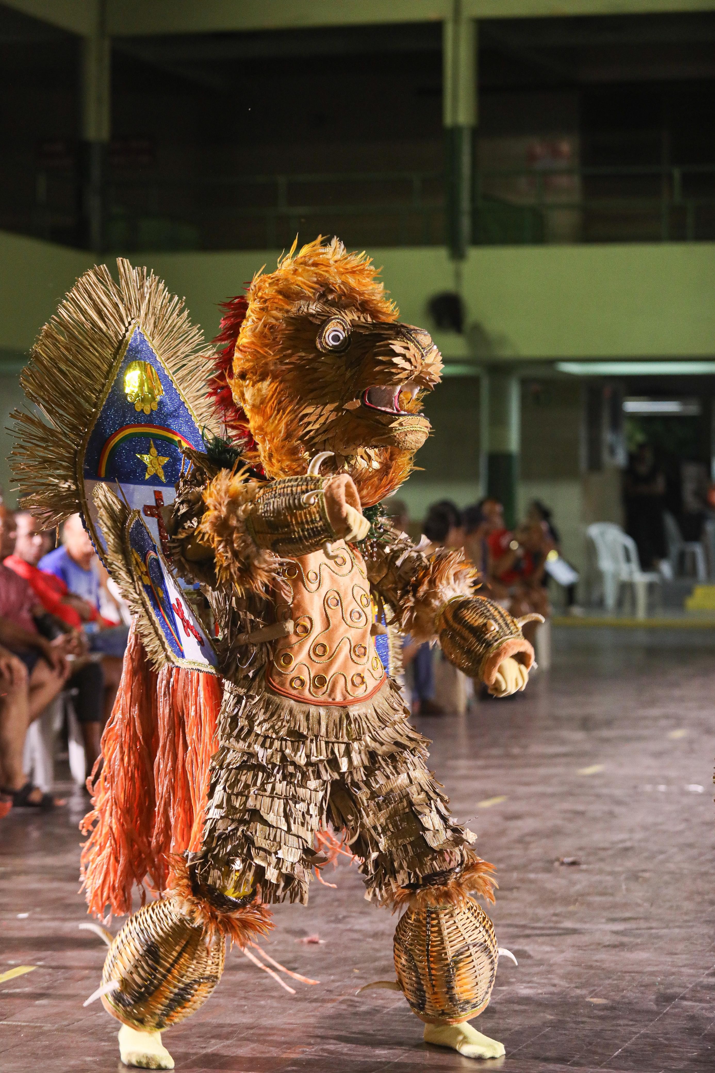 Homem 'virando leão' no Concurso de Fantasias do Recife — Foto: Wagner Ramos/Divulgação