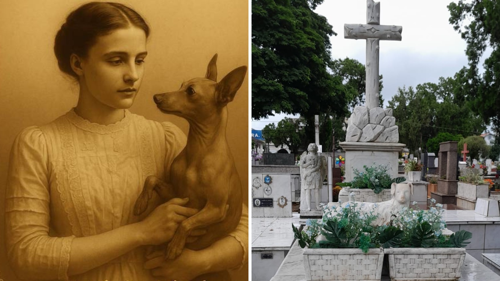 Conheça a história de Vitória, cadela vira-lata que visitou o túmulo da tutora até morrer e ganhou estátua em lápide: 'Amor incondicional'