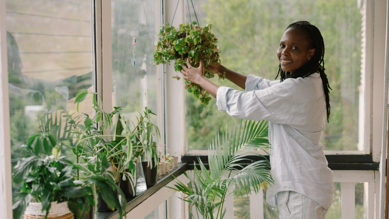 Como criar uma área verde em casa e trazer frescor para o verão