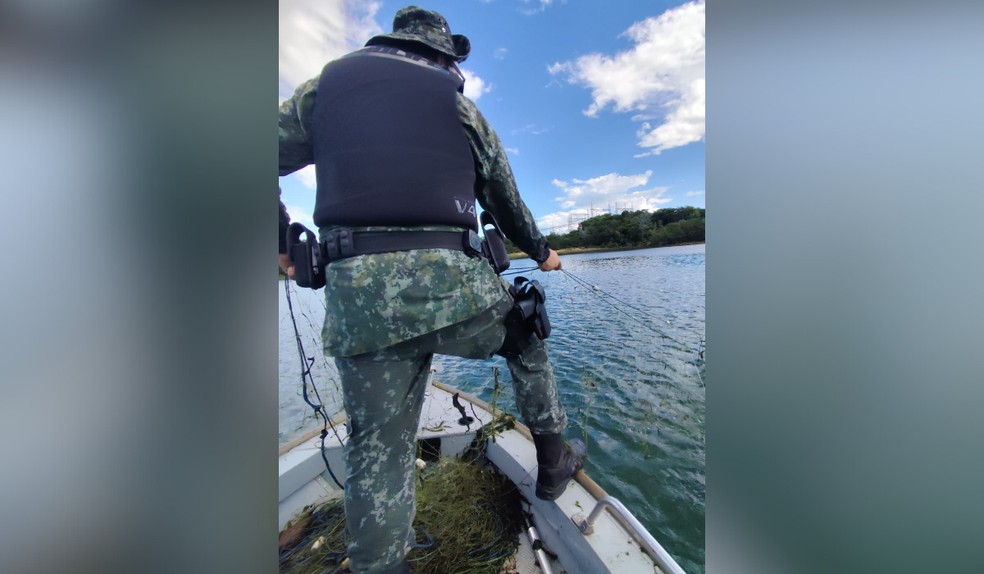 Polícia Ambiental apreende 450 metros de redes e devolve 40 kg de peixes ao Rio Paraná, em Rosana — Foto: Polícia Militar Ambiental/Divulgação