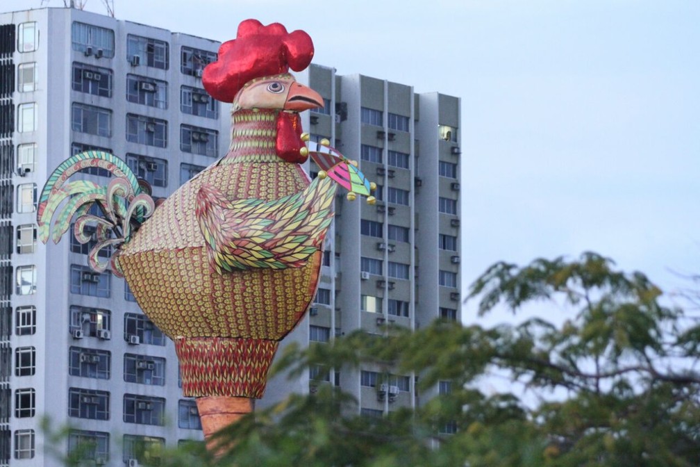Galo Gigante no carnaval do Recife de 2018 — Foto: Marlon Costa/Pernambuco Press