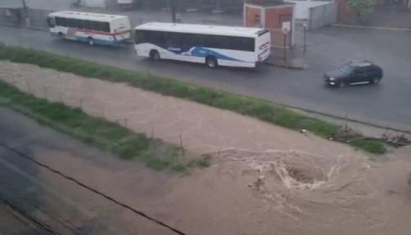 VÍDEO: Cavalo amarrado com corda é puxado à força por caminhonete em  Divinópolis, Centro-Oeste