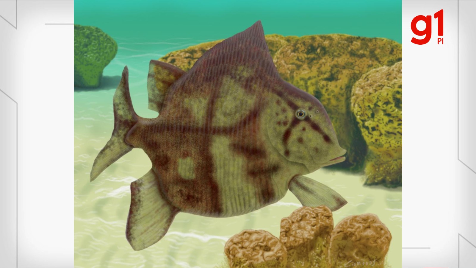 Nova espécie de peixe que viveu há 280 milhões de anos é identificada no Piauí