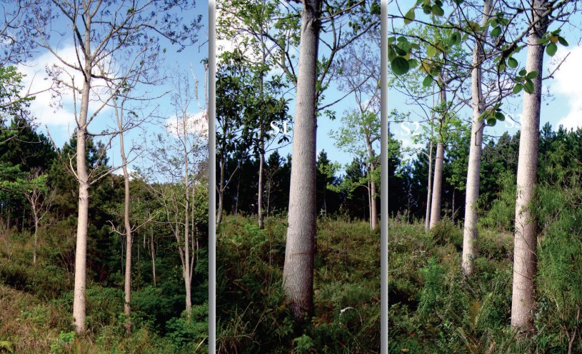 Você Não Tá Convidada pro Meu Bat Mitzvá!