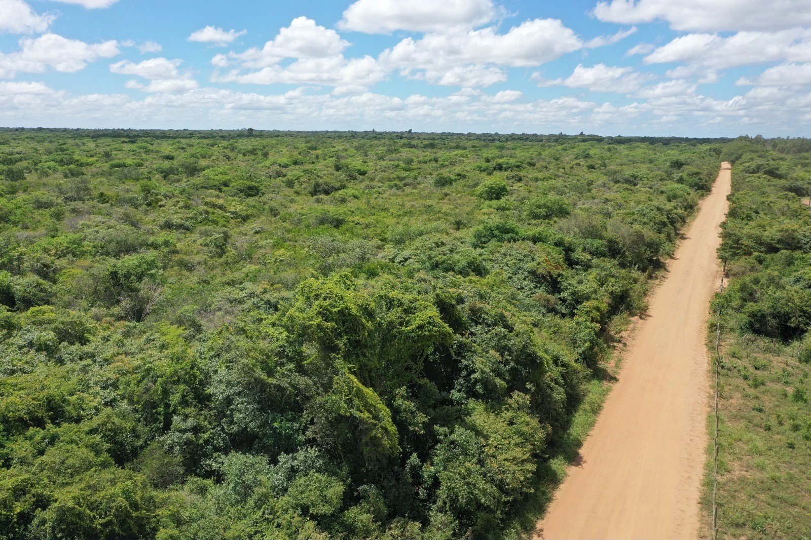 RPPN Serra das Abelhas, em Exu é reconhecida como a maior reserva particular da APA Araripe