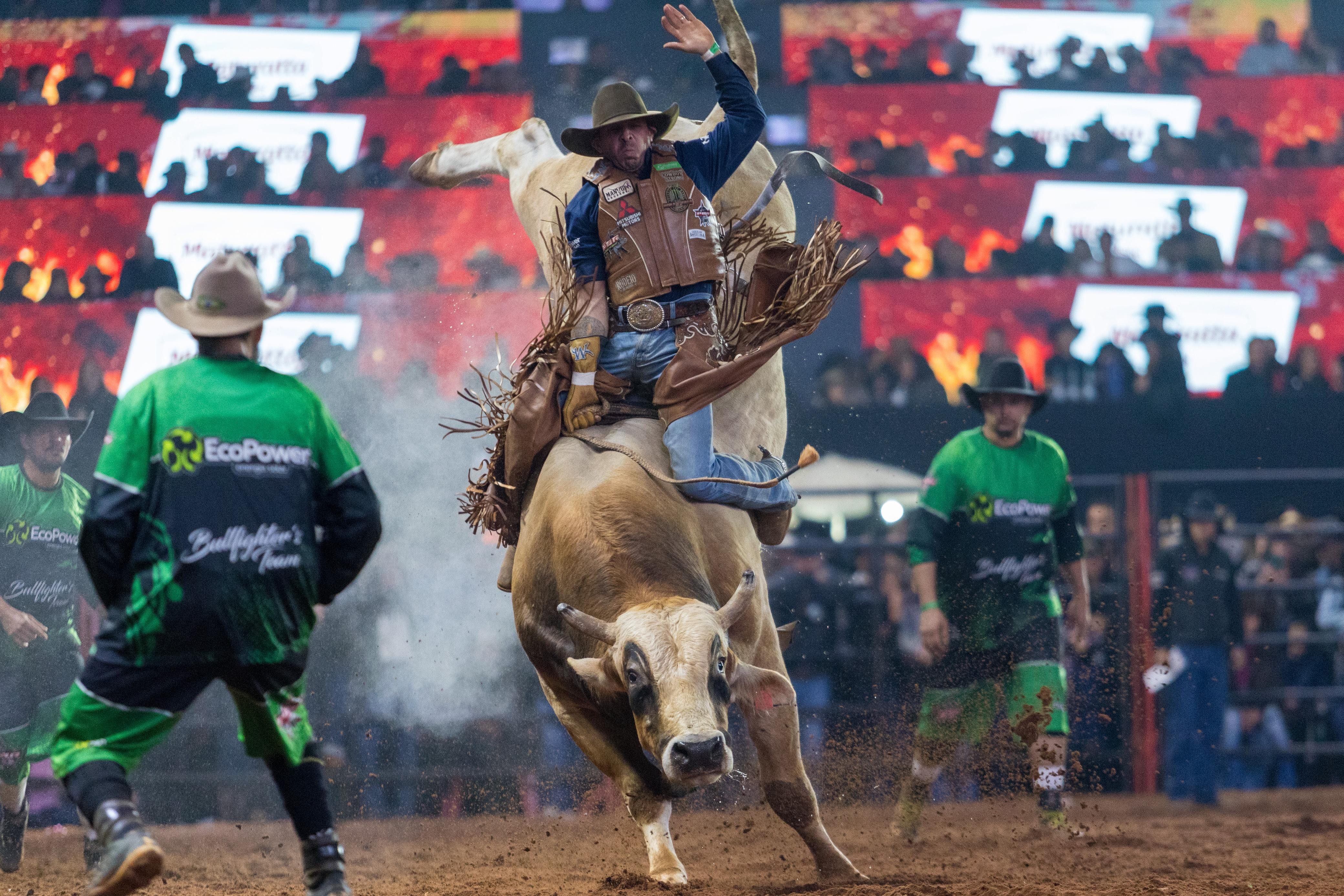 Festa do Peão de Americana terá transmissão do Brasil na Copa em telão na arena; veja programação