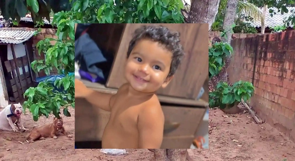 Bebê de 1 ano morre após ser atacado com pitbull no interior de Rondônia