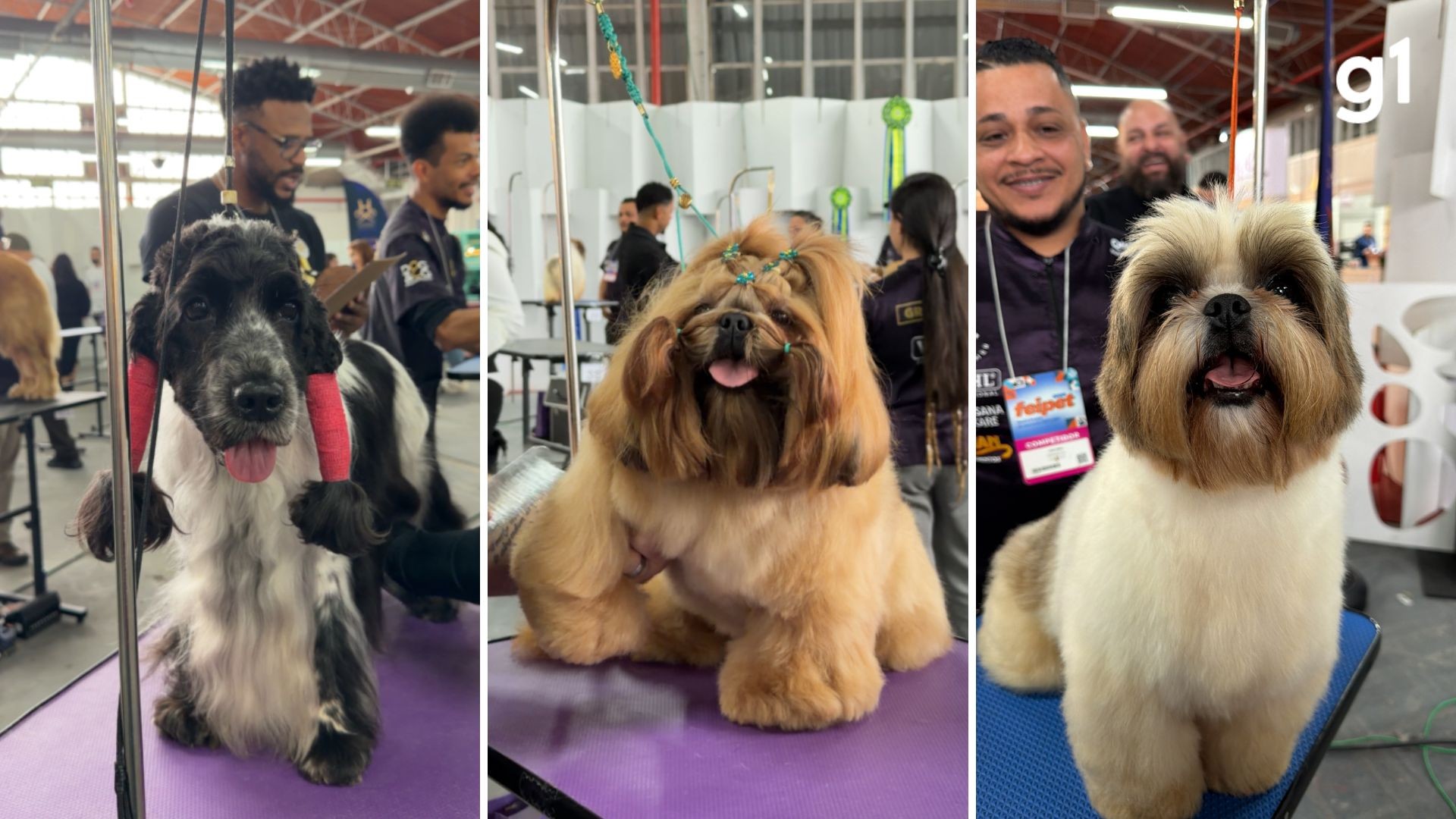 Spray para mau hálito e ração fit: feira mira em produtos inovadores para pets no RS
