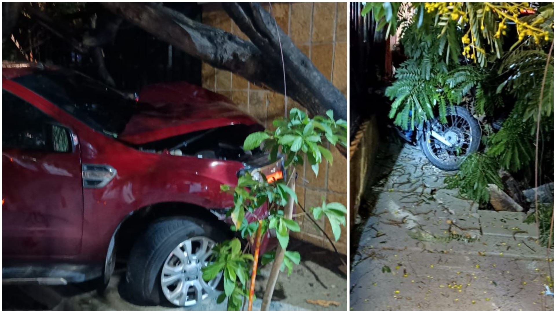 Motorista atropela e mata jovem de 18 anos; homem foi preso com cerveja e cocaína