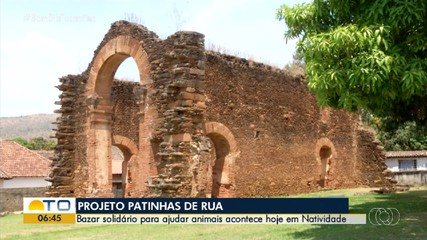 Projeto Patinhas de Rua realiza bazar solidário para ajudar animais em Natividade