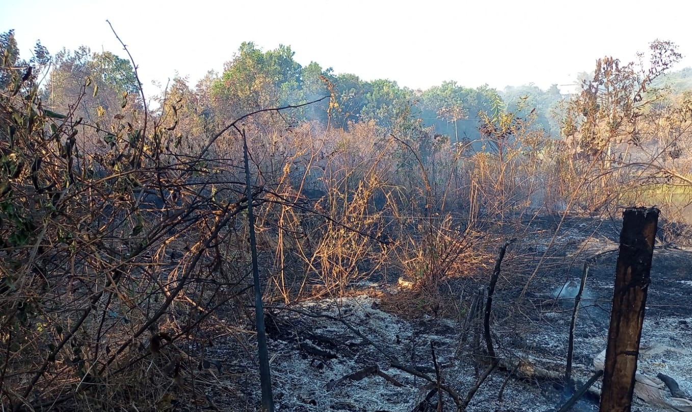 Jacundá decreta situação de emergência por incêndios florestais e efeitos da fumaça, no PA