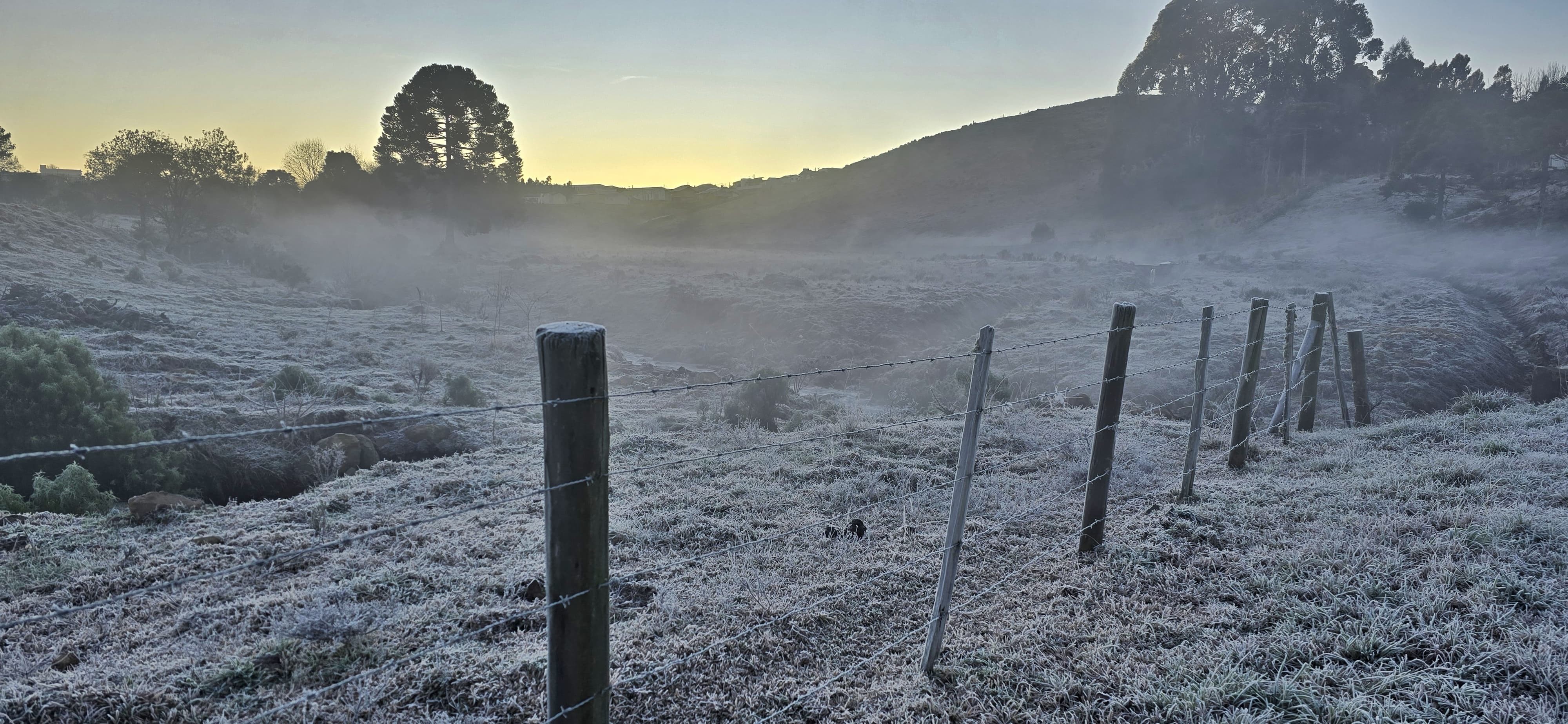 Serra de SC tem geada, mínima de -3,8°C e até roupas 'congeladas'