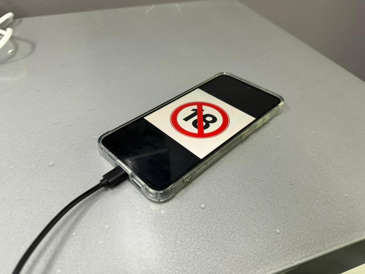 Conselho Tutelar apura uso de celular oficial para acessar site pornográfico em Normandia