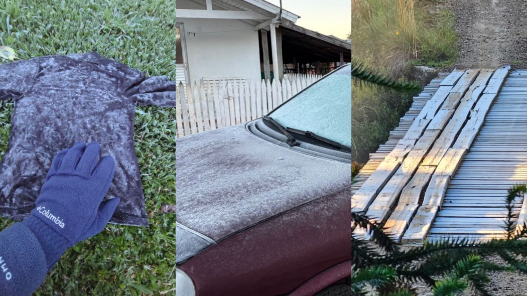 Camiseta, vegetação e carros 'congelados': as imagens do amanhecer mais frio de 2026 em SC
