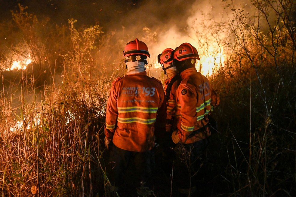 Combate as chamas do Pantanal — Foto: Bruno Rezende/Governo de MS