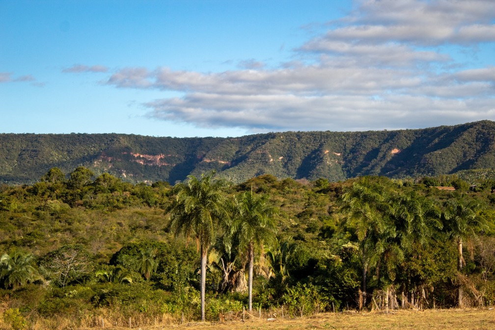 Na Chapada do Araripe, o geoparque permite a aproximação com a natureza, a cultura e a ciência — Foto: Diego Monteiro/Geopark Araripe/Divulgação