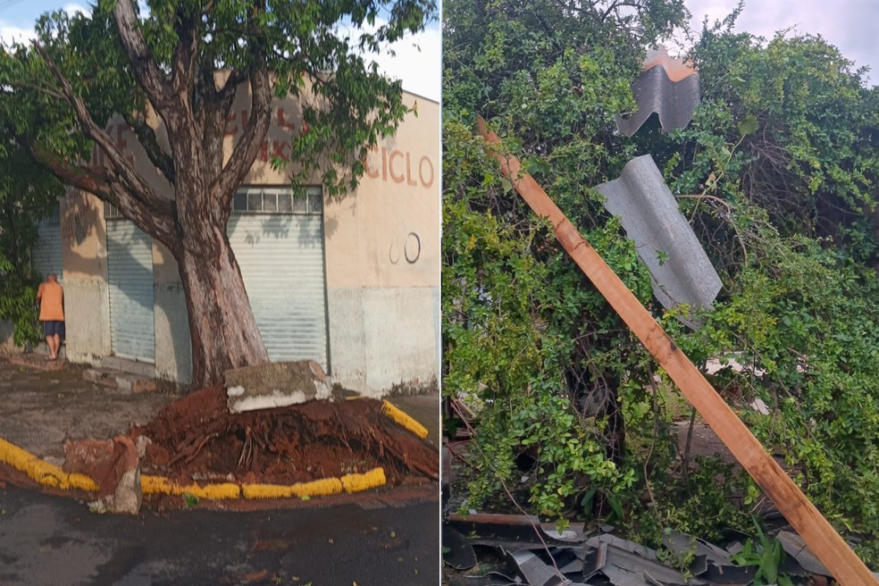 Chuva deixou estragos em Martinópolis e em Presidente Prudente — Foto: Defesa Civil
