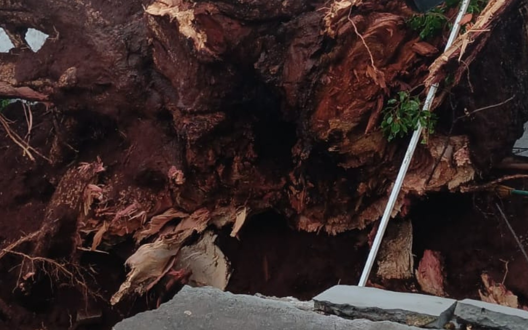 Cinco mil alunos deixarão de ter aulas em Ribeirão Preto após estragos de temporal severo