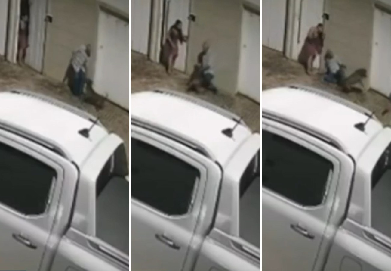 VÍDEO: Ataque de pitbull deixa homem gravemente ferido em Palmas