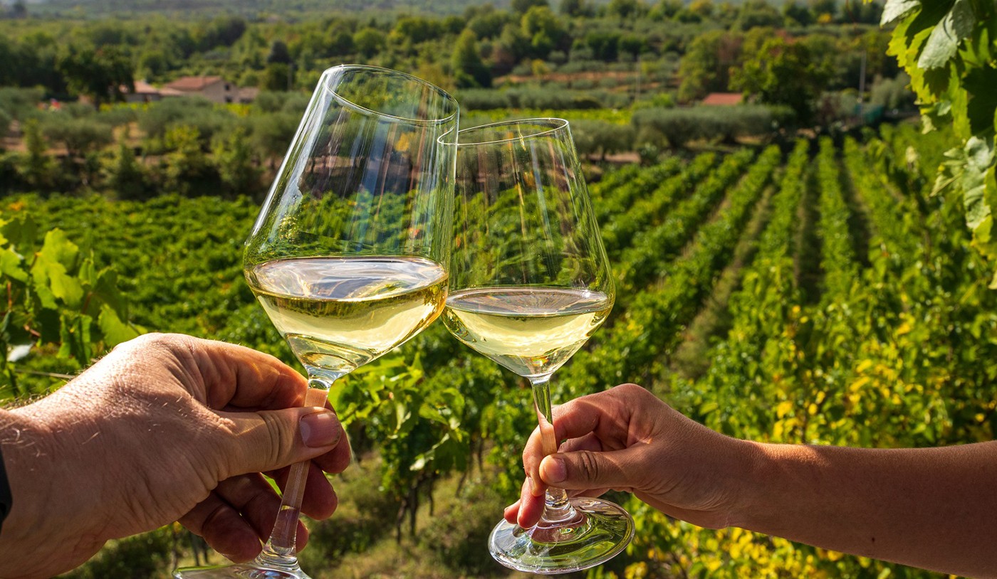Cansou de Chardonnay e Sauvignon Blanc? Veja 10 vinhos brancos diferentes 