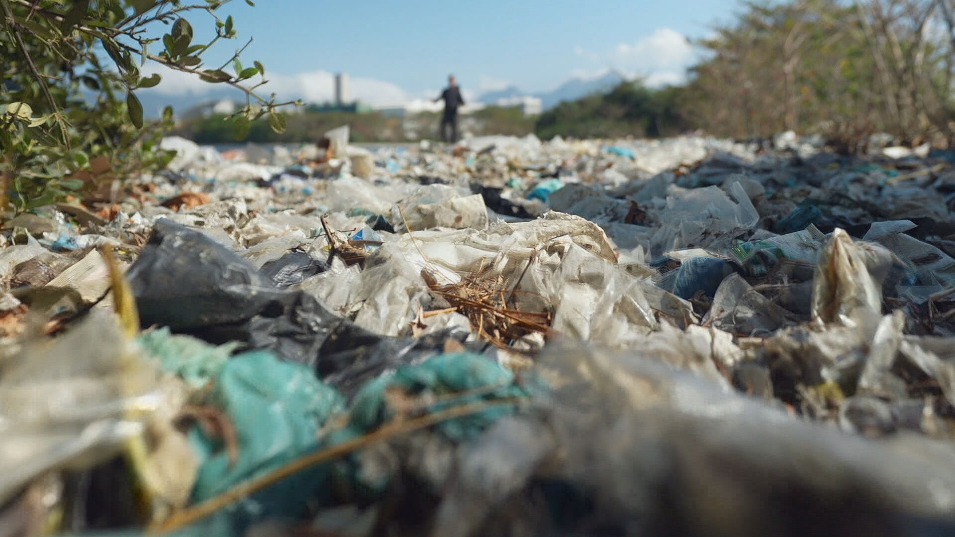 Baía de Guanabara ainda em perigo: lixo, esgoto e barcos abandonados ameaçam vida marinha e navegação