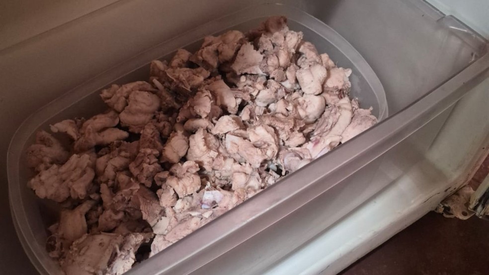 Homem é multado por matar jacaré e armazenar 4,7 kg de carne em geladeira em Mirassolândia (SP) — Foto: Reprodução/Polícia Ambiental
