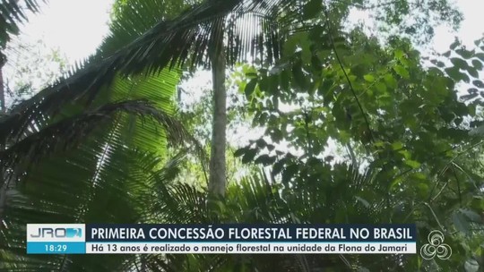 15 anos da 1ª concessão florestal do país: veja como está o manejo na Flona Jamari - Programa: Jornal de Rondônia 2ª edição 
