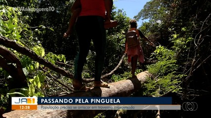 Moradores de Aparecida do Rio Negro usam tronco de árvore para atravessar córrego
